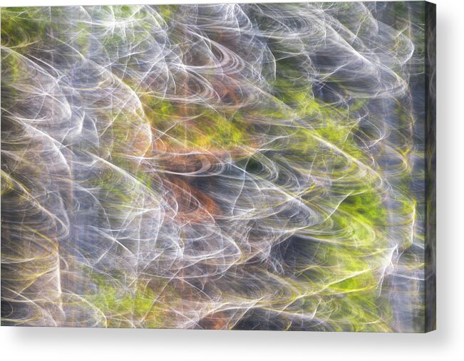 Abstract Acrylic Print featuring the photograph Motion in the Trees by Darren White