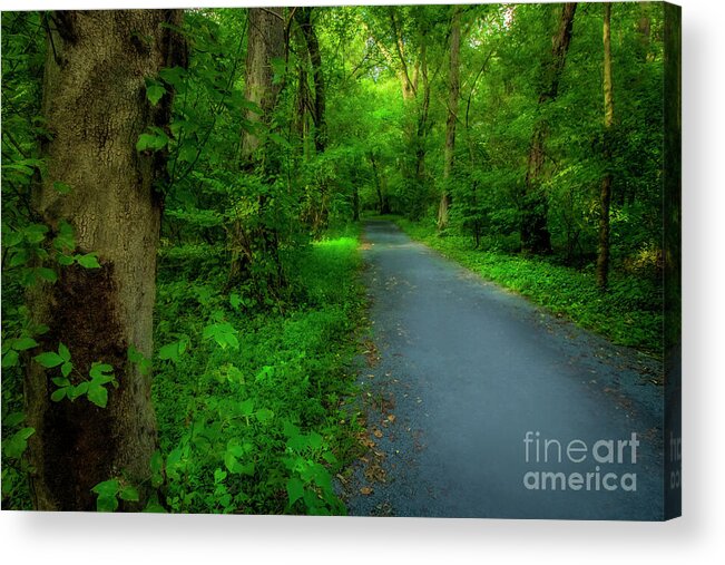 Trail Acrylic Print featuring the photograph Mountain River Trail by Shelia Hunt