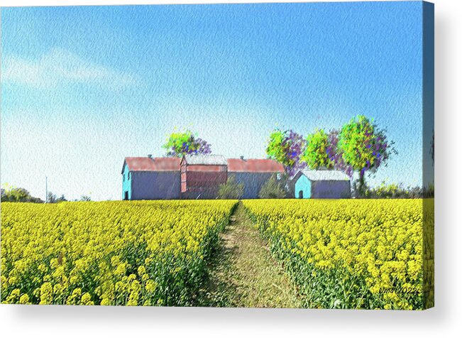 Mustard Fields Acrylic Print featuring the photograph Mustard fields by Uma Krishnamoorthy