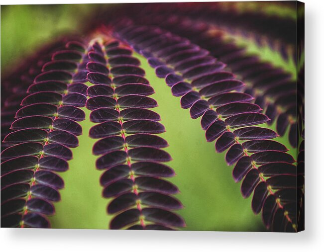 Mountain Acrylic Print featuring the photograph Natural Patterns by Go and Flow Photos