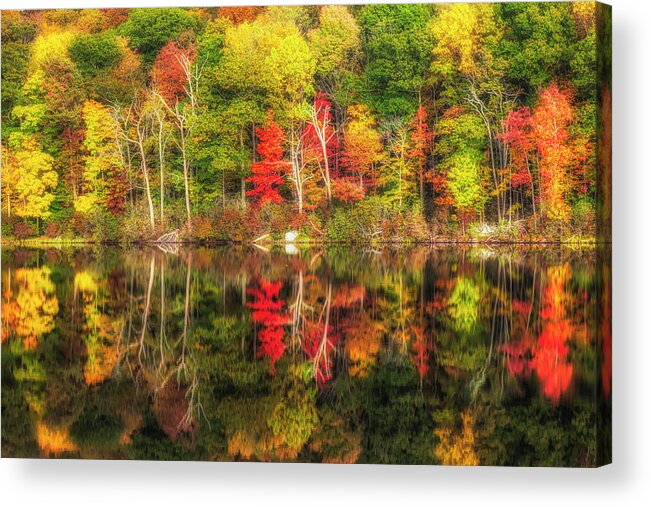Harriman State Park Acrylic Print featuring the photograph Natures Fall Color Palette by Susan Candelario