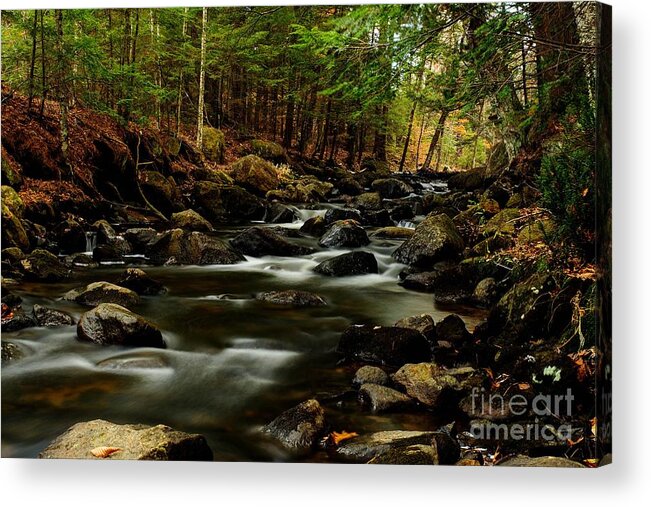New Hampshire Acrylic Print featuring the photograph New Hampshire Brook by Steve Brown