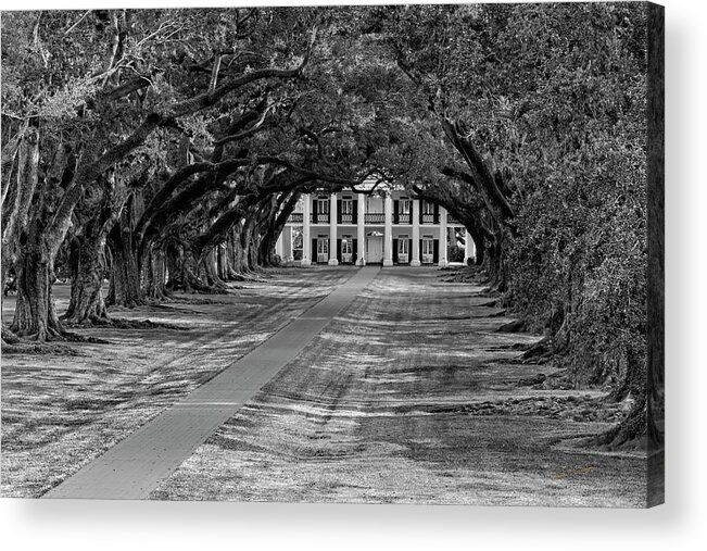 New Orleans Acrylic Print featuring the photograph Oak Alley by Dan McGeorge