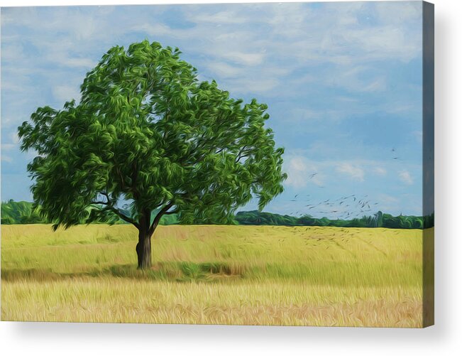 Birds Acrylic Print featuring the digital art Oak in the field by Greg Croasdill