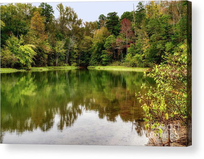 Latta Plantation Acrylic Print featuring the photograph October Color at Mountain Island Lake by Amy Dundon