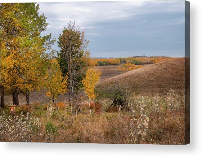 Fall Acrylic Print featuring the photograph October morning by Phil And Karen Rispin