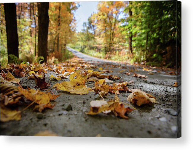 Autumn Acrylic Print featuring the photograph October Road by Carolyn Ann Ryan