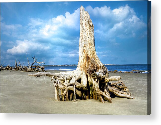 Clouds Acrylic Print featuring the photograph On Driftwood Beach at Low Tide by Debra and Dave Vanderlaan