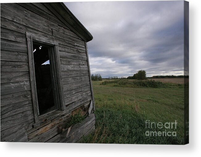 Range Acrylic Print featuring the photograph On the Range by Mary Mikawoz