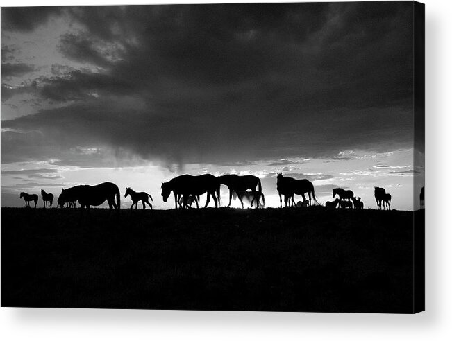 Black And White Acrylic Print featuring the photograph Onaqui Silhouette by Dirk Johnson