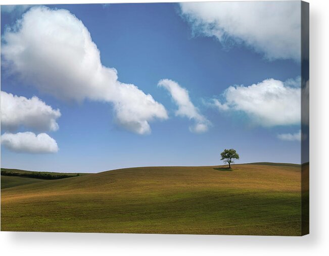 Hills Acrylic Print featuring the photograph One Tree by Don Schwartz