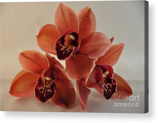 Art Acrylic Print featuring the digital art Orchid Pyramid by Kirt Tisdale