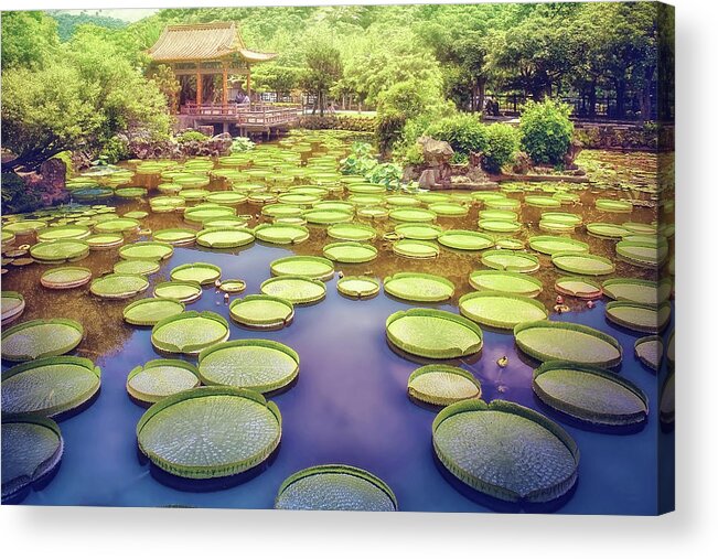 Horse Acrylic Print featuring the photograph Oriental Fantasy Garden-Photography by Sungei Park in Taipei, Taiwan-2 by Artto Pan