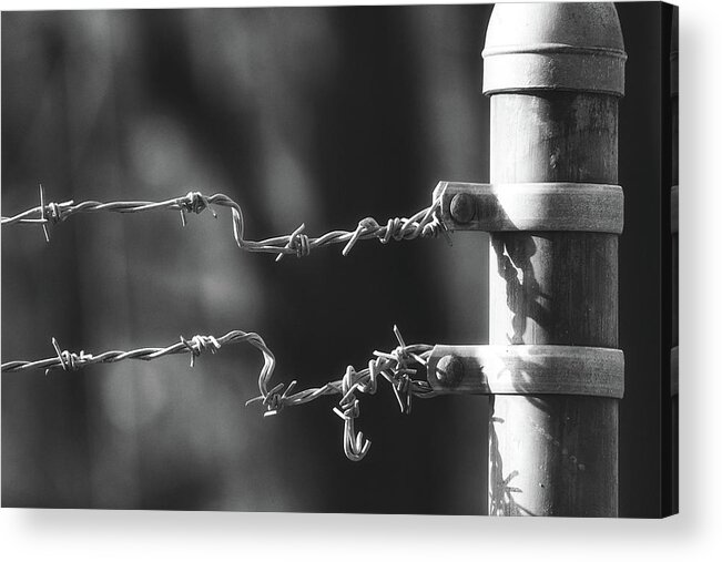 Fence Acrylic Print featuring the photograph Other side of the fence by Bob Orsillo