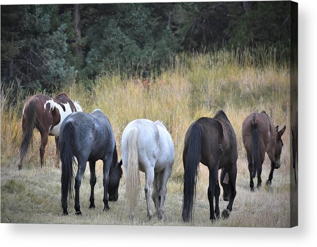 Western Art Acrylic Print featuring the photograph Out for the Night by Alden White Ballard