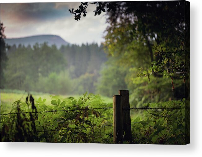 Fence Acrylic Print featuring the photograph Outside by Gavin Lewis