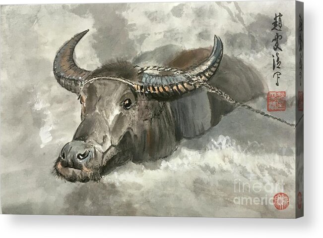 Ox Acrylic Print featuring the painting Willing Ox by Carmen Lam