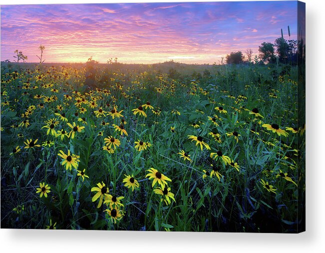 Conservation Area Acrylic Print featuring the photograph Paintbrush Prairie IV by Robert Charity