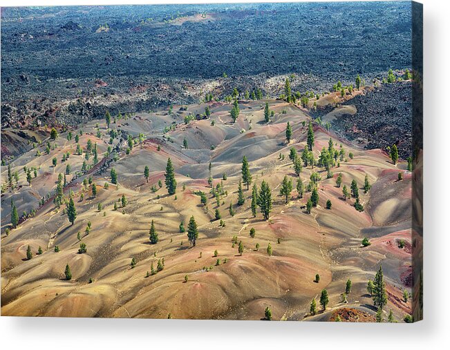 Dunes Acrylic Print featuring the photograph Painted Dunes by Jon Exley