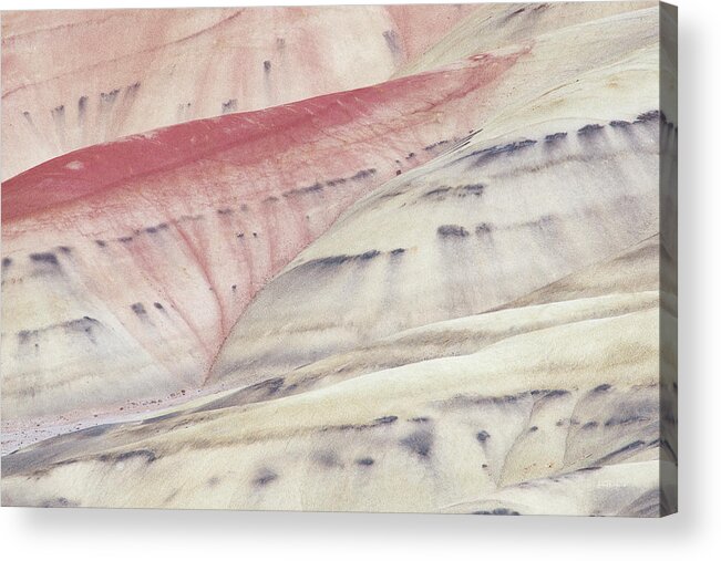 Oregon Acrylic Print featuring the photograph Painted Hills Oregon Textures 1 by Leland D Howard