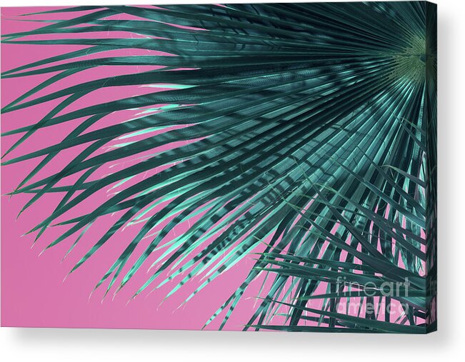 Palm Leaf Acrylic Print featuring the photograph Palm frond and pink sky, summer on the beach by Adriana Mueller
