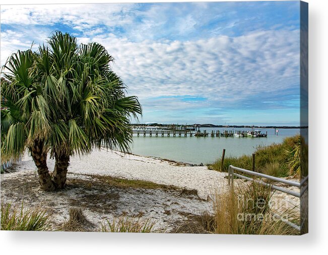 Palm Acrylic Print featuring the photograph Palm Tree on Quietwater Beach by Beachtown Views