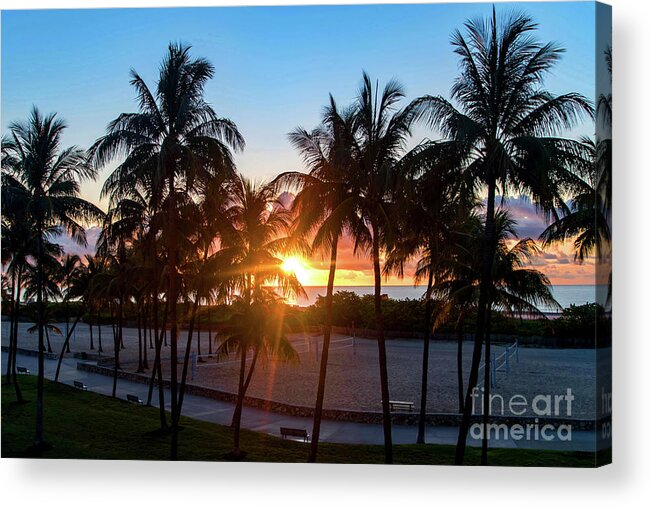 Palm Acrylic Print featuring the photograph Palm Tree Sunset on Ocean Drive South Beach Miami by Beachtown Views