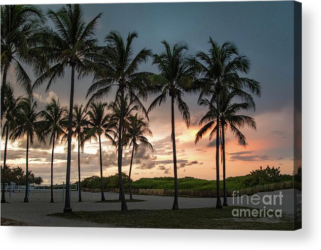 Sunset Acrylic Print featuring the photograph Palm Tree Sunset, South Beach, Miami, Florida by Beachtown Views