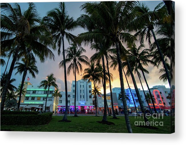 Palm Acrylic Print featuring the photograph Palm Trees on Ocean Drive South Beach Miami at Night by Beachtown Views