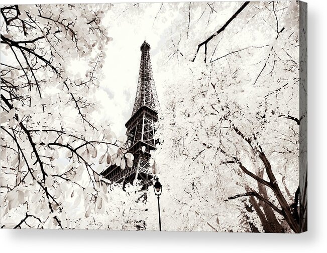 Paris Acrylic Print featuring the photograph Paris Winter White Collection - Between two trees by Philippe HUGONNARD