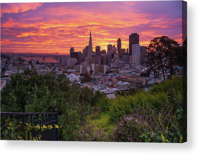  Acrylic Print featuring the photograph Parkside Fantasies by Louis Raphael