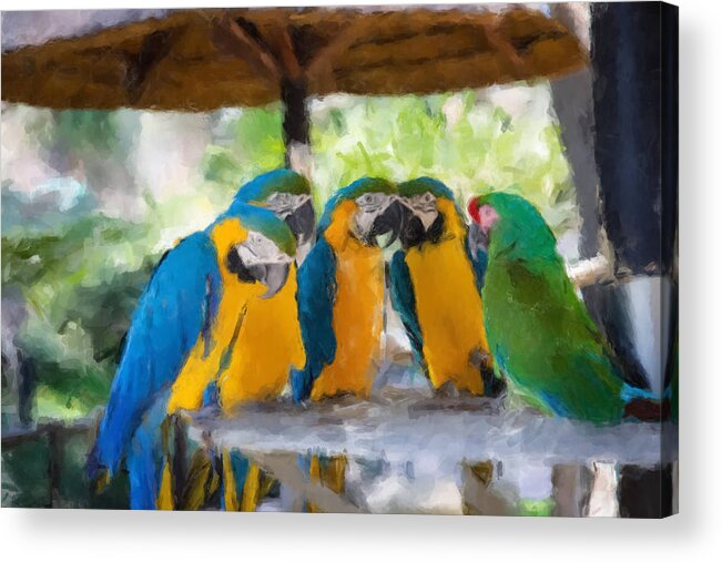 Birds Acrylic Print featuring the painting Parrot Conference by Gary Arnold