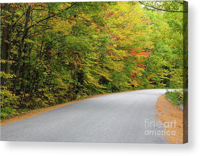 Albany Acrylic Print featuring the photograph Passaconaway Road - White Mountains New Hampshire USA by Erin Paul Donovan