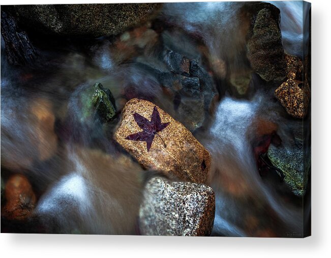 Artistic Acrylic Print featuring the photograph Beautiful Patterns in Nature by Rick Furmanek