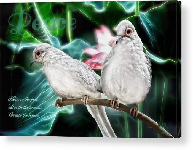 Doves Acrylic Print featuring the photograph Peace by Pennie McCracken
