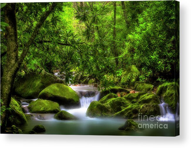 Waterfall Acrylic Print featuring the photograph Peaceful Cascades in the Forest by Shelia Hunt