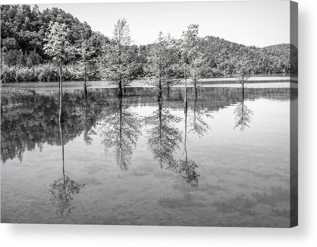 Carolina Acrylic Print featuring the photograph Peaceful Cypress Reflections in Black and White by Debra and Dave Vanderlaan