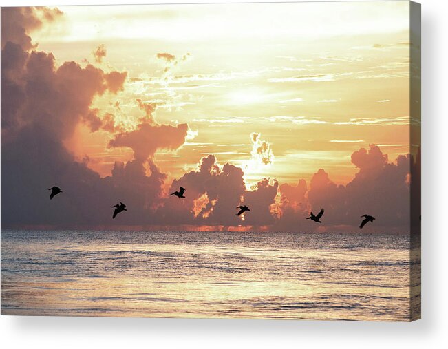 Sunrise Acrylic Print featuring the photograph Pelicans in Hilton Head Sunrise by Mary Ann Artz