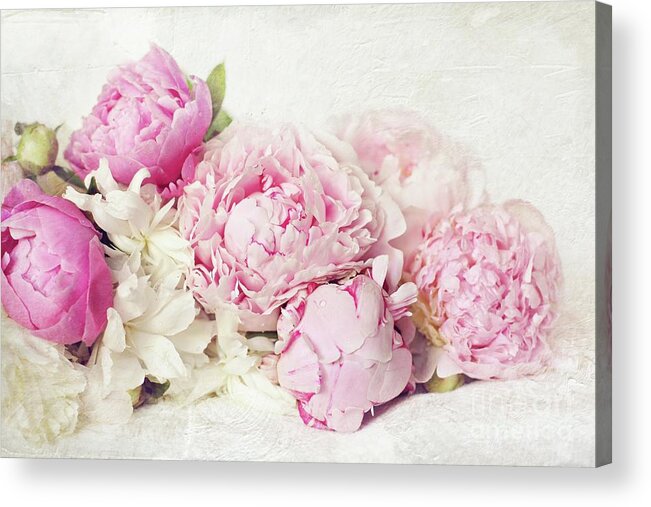 Peony Acrylic Print featuring the photograph Peonies On White by Sylvia Cook