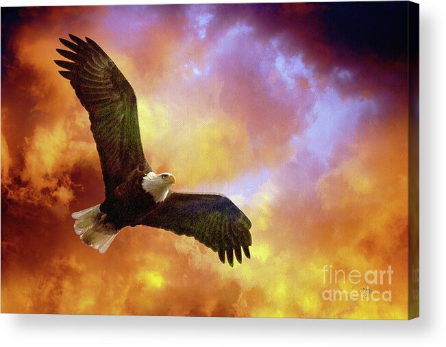 Eagle Acrylic Print featuring the photograph Perseverance by Lois Bryan