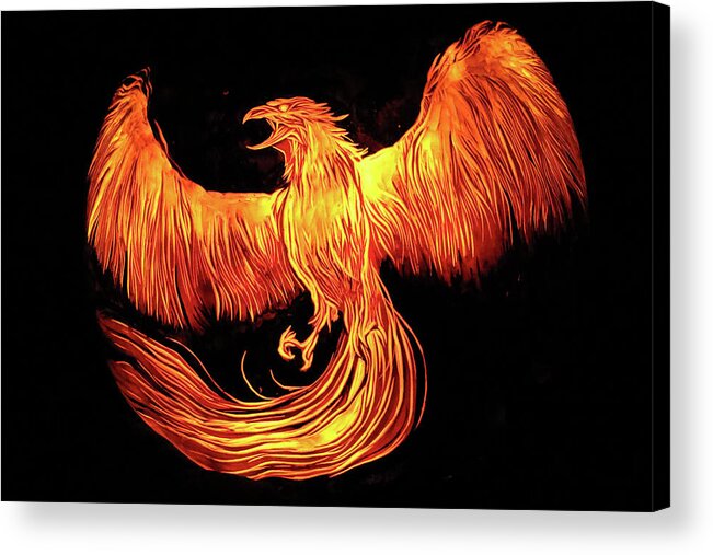 Phoenix Acrylic Print featuring the photograph Phoenix by Stuart Manning