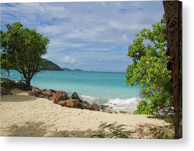 Beach Acrylic Print featuring the photograph Picturesque Caribbean Beach by Matthew DeGrushe