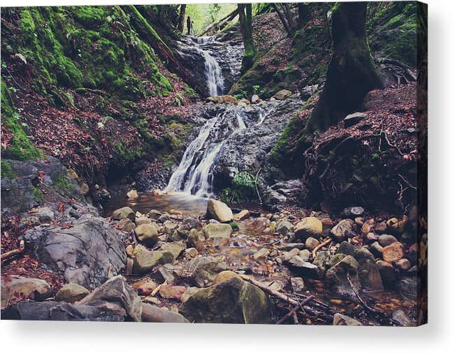Uvas Canyon County Park Acrylic Print featuring the photograph Picturesque by Laurie Search
