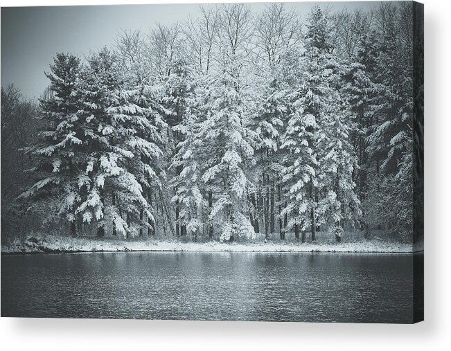 Blackwell Forest Preserve Acrylic Print featuring the photograph Pines in Winter by Joni Eskridge