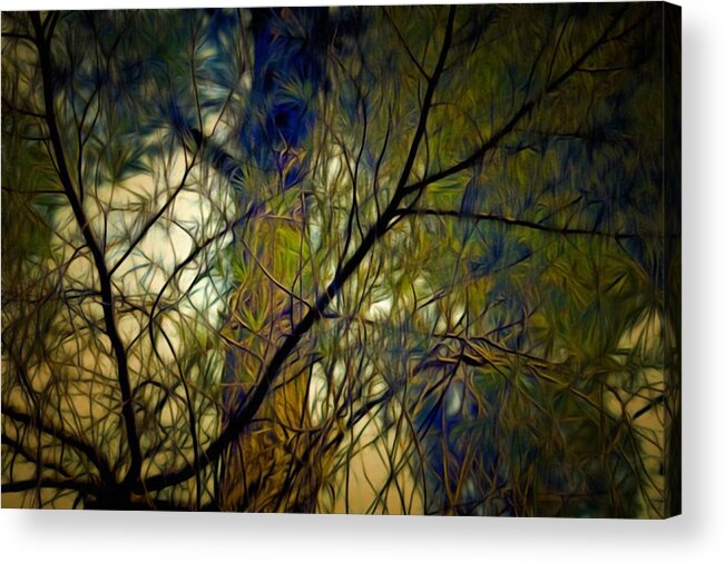 Branches Acrylic Print featuring the mixed media Piney Branches by Christopher Reed