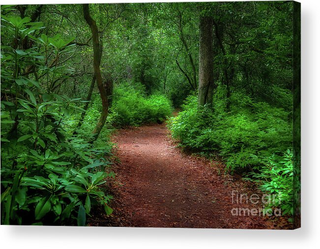 Trail Acrylic Print featuring the photograph Pink Beds Trail II by Shelia Hunt