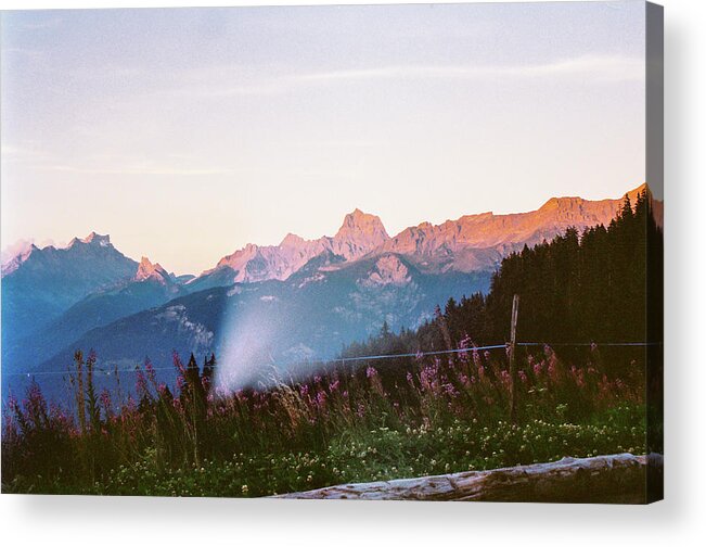 Swiss Acrylic Print featuring the photograph Pink on Pink by Barthelemy de Mazenod