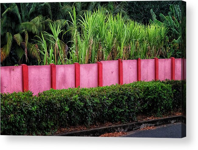 Havana Cuba Acrylic Print featuring the photograph Pink Wall by Tom Singleton
