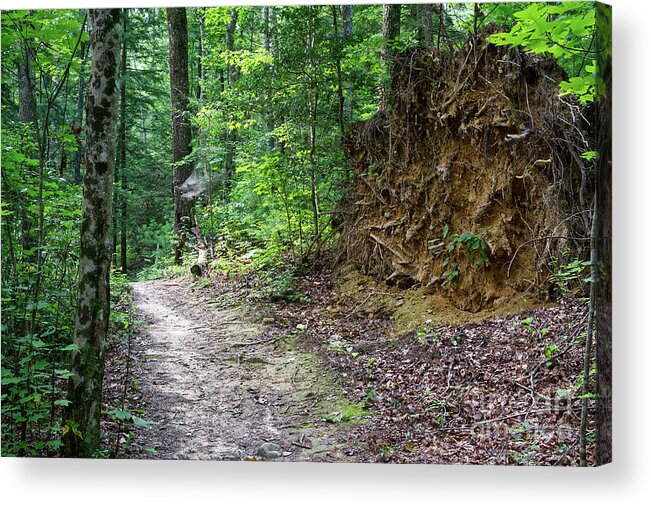 Obed Acrylic Print featuring the photograph Point Trail At Obed 8 by Phil Perkins