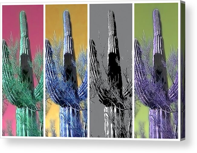 Arizona Acrylic Print featuring the photograph Pop Saguaro Cactus by Judy Kennedy